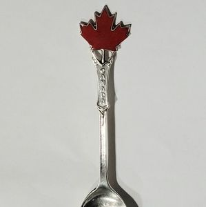 Sterling Silver Niagara Fall Spoon